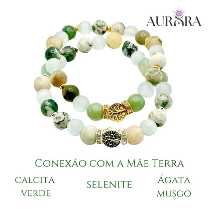 Conexão com a Mãe Terra